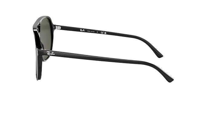 Ray-Ban Bill RB2198