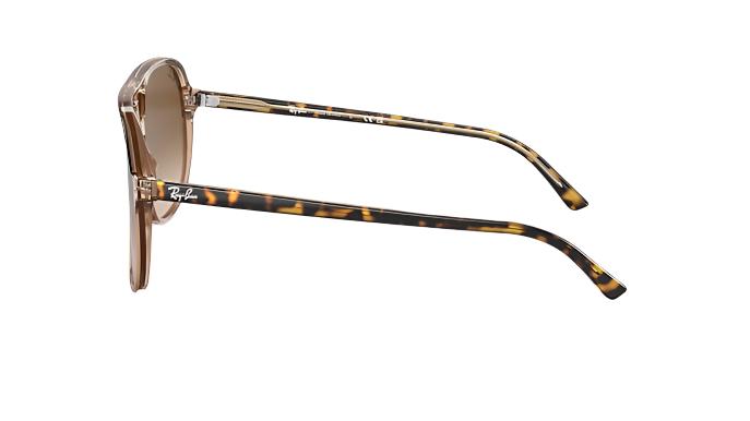 Ray-Ban Bill RB2198
