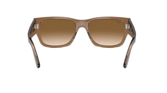 Ray-Ban Carrigan RB4397