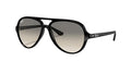 Ray-Ban Cats 5000 RB4125