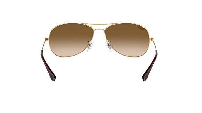 Ray-Ban Cockpit RB3362