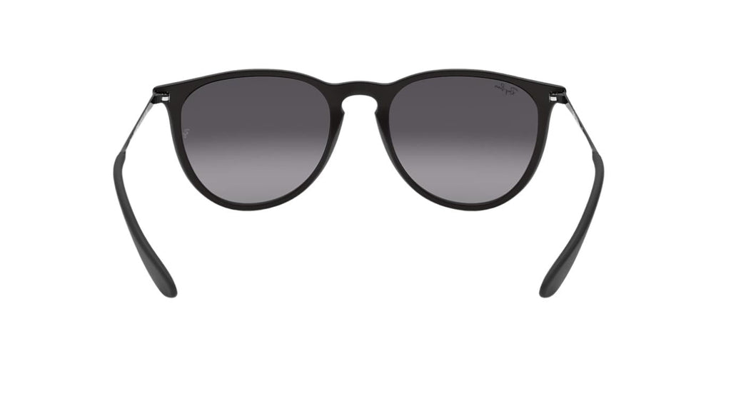 Ray-Ban Erika RB4171