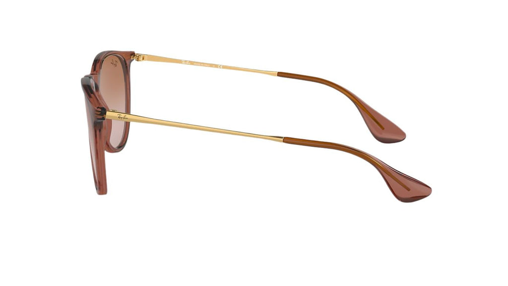 Ray-Ban Erika RB4171