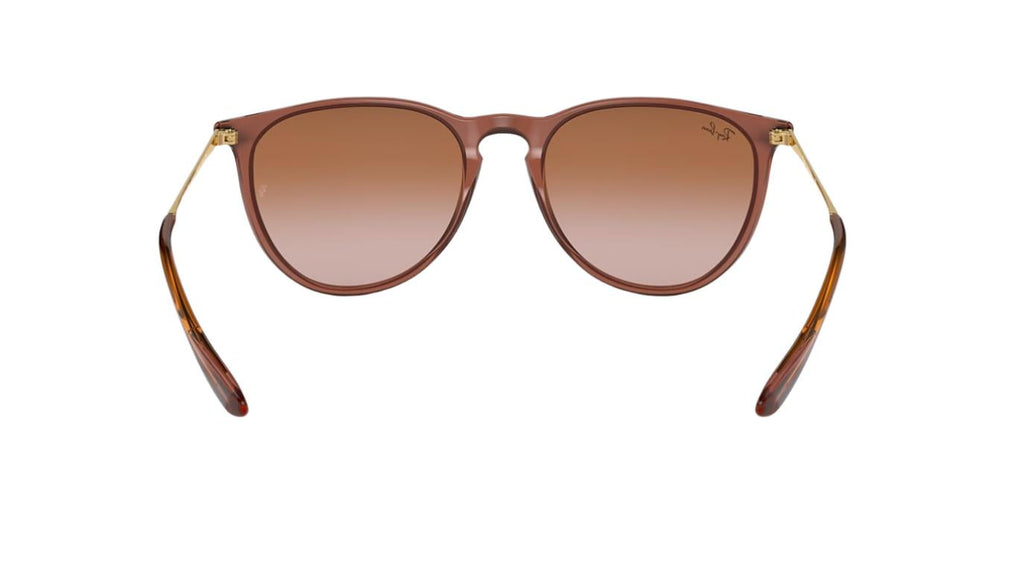Ray-Ban Erika RB4171