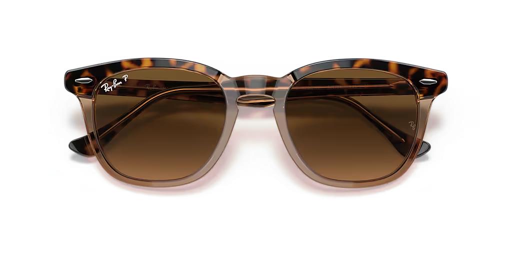 Ray-Ban Hawkeye RB2298