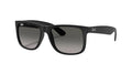 Ray-Ban Justin RB4165