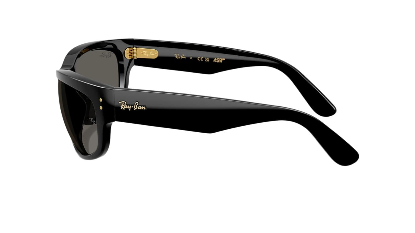 Ray-Ban Mega Balorama RB2289