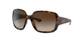 Ray-Ban Powderhorn RB4347