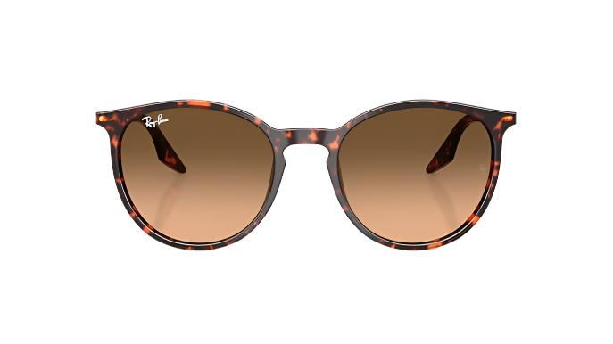 Ray-Ban RB2204