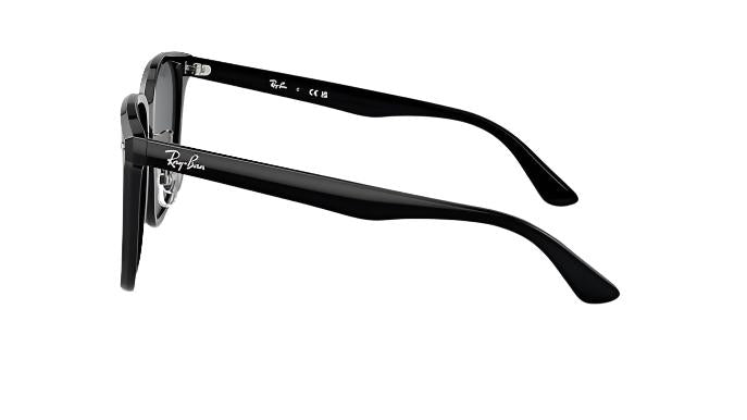 Ray-Ban RB2206D