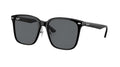 Ray-Ban RB2206D