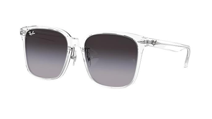 Ray-Ban RB2206D