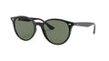 Ray-Ban RB4305