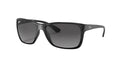 Ray-Ban RB4331