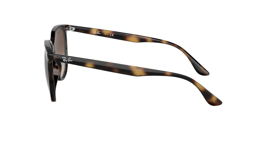 Ray-Ban RB4378