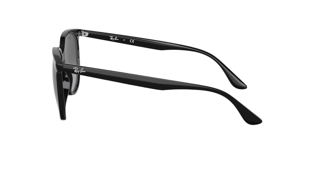 Ray-Ban RB4378