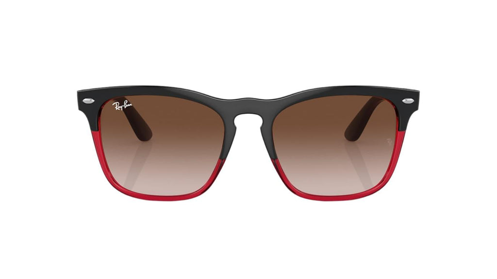 Ray-Ban Steve RB4487