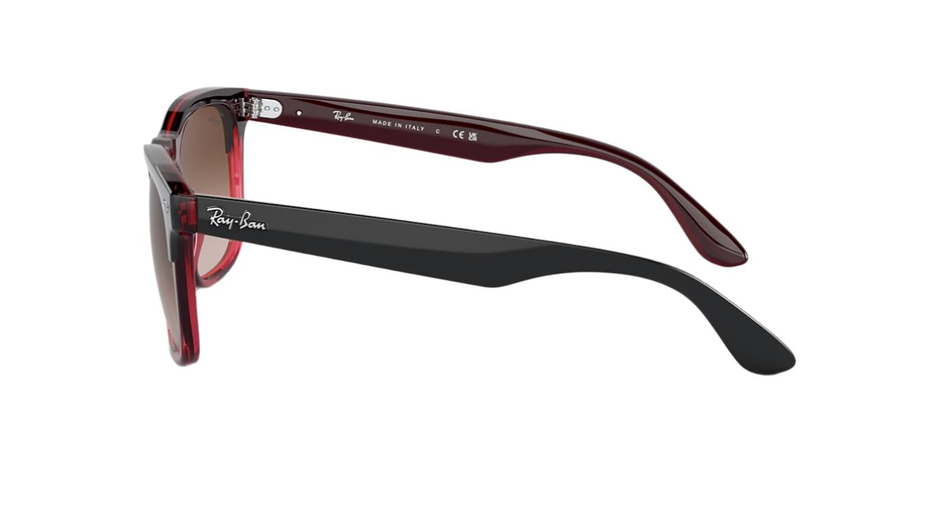 Ray-Ban Steve RB4487