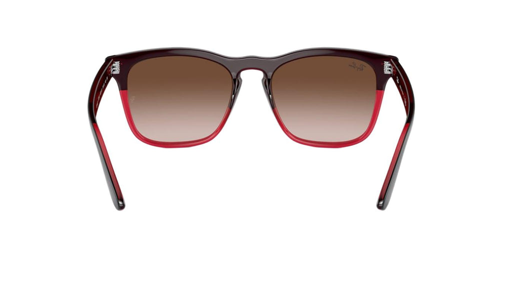 Ray-Ban Steve RB4487