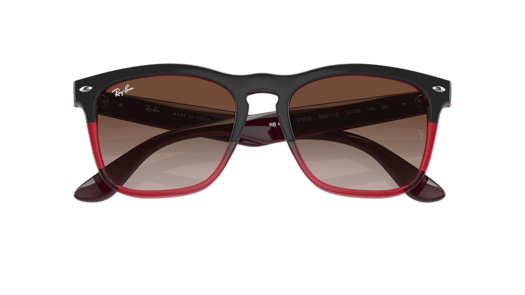 Ray-Ban Steve RB4487
