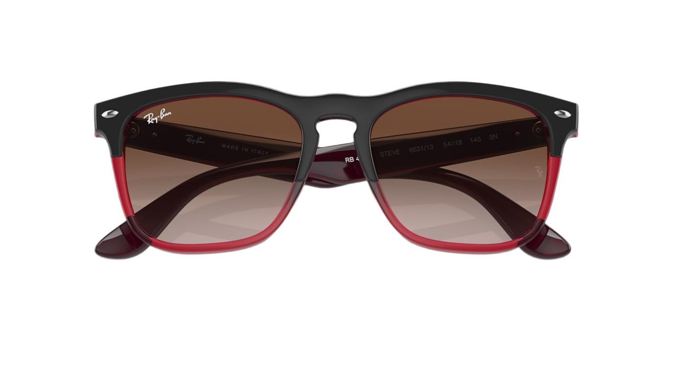 Ray-Ban Steve RB4487