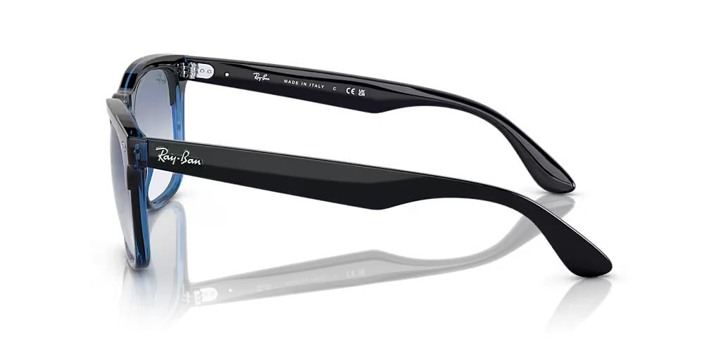 Ray-Ban Steve RB4487
