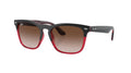 Ray-Ban Steve RB4487