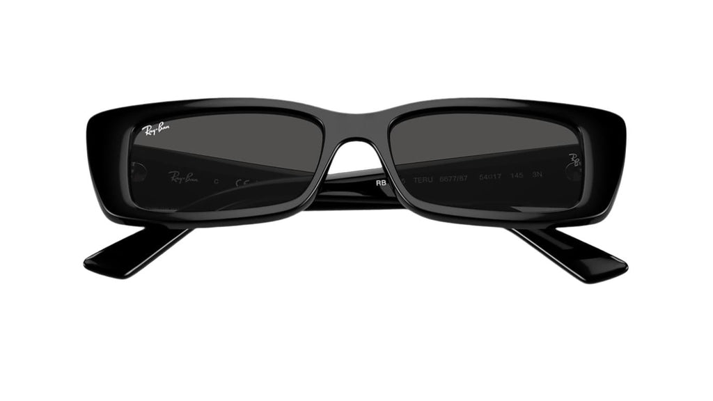Ray-Ban Teru RB4425