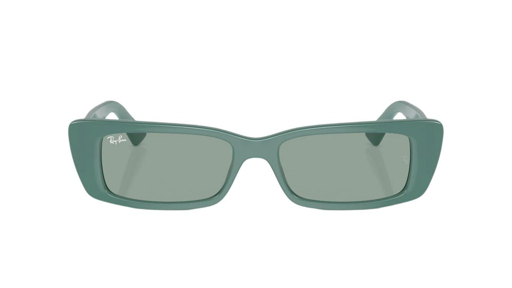 Ray-Ban Teru RB4425