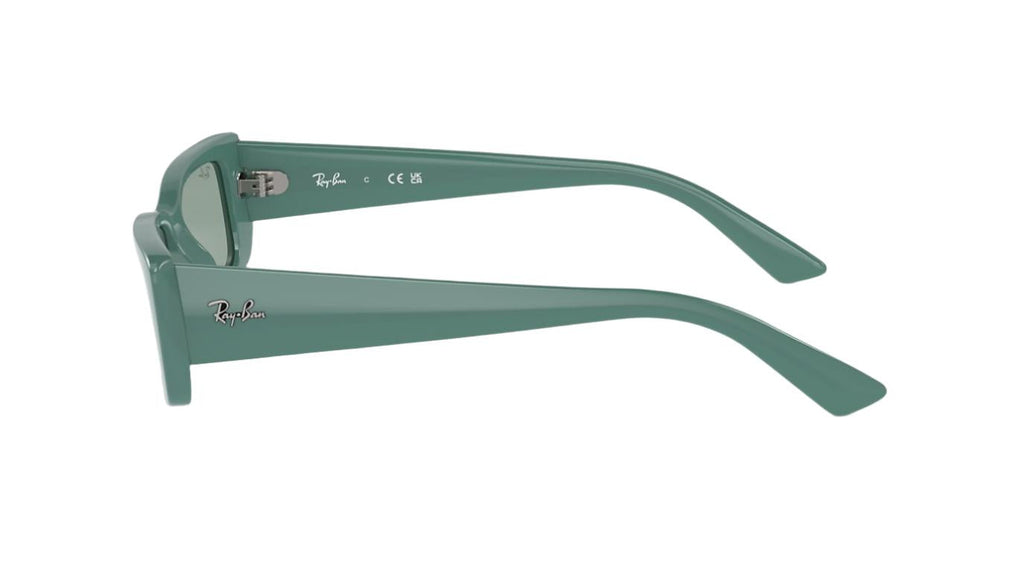 Ray-Ban Teru RB4425