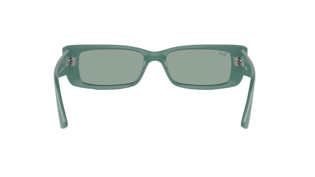 Ray-Ban Teru RB4425