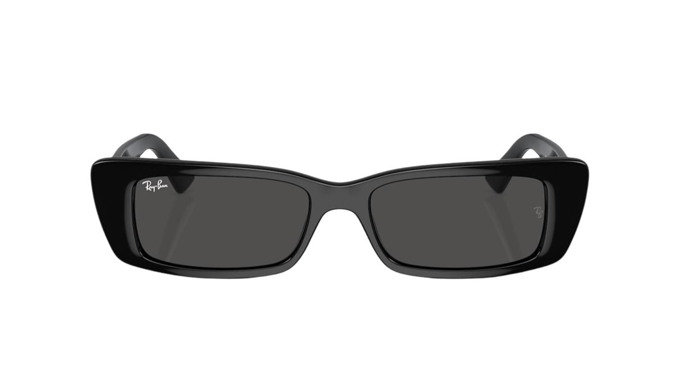 Ray-Ban Teru RB4425