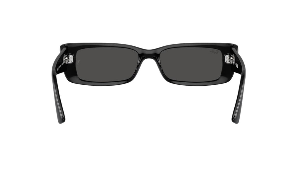 Ray-Ban Teru RB4425