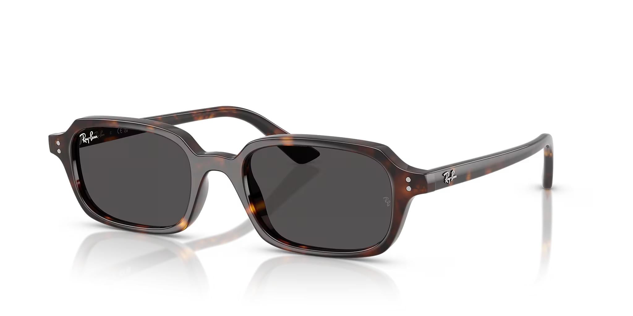 Ray-Ban Zuri RB4455